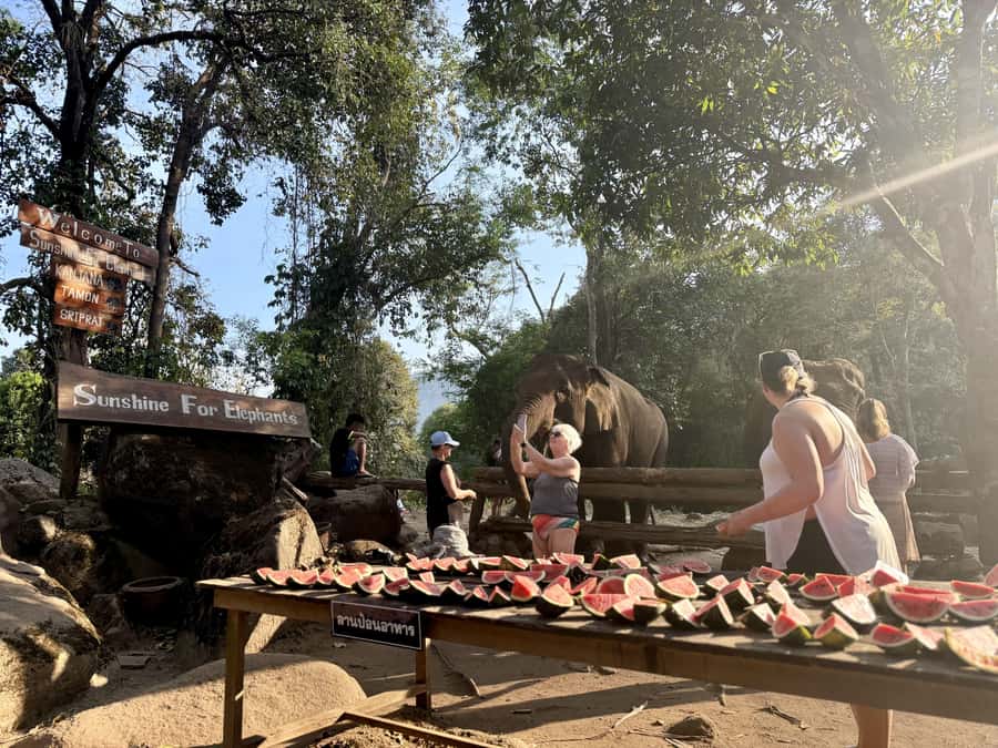 Chiang Mai Half-Day Adventure: River Tubing & Waterfall - Overnight option: swapping a half-day rush for a real jungle pause