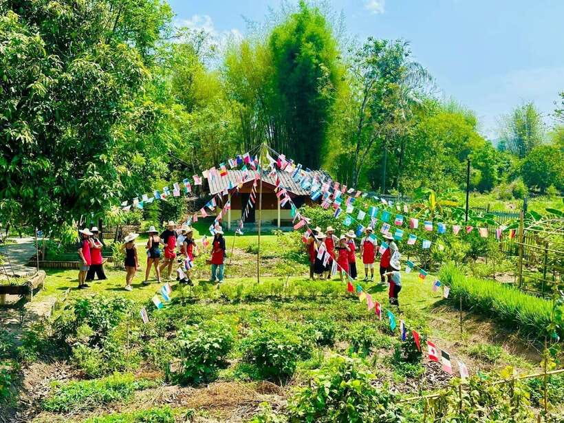Chiang Mai: Half Day Cooking Class at Organic Farm - The 5-Hour Cooking Plan: 5-6 Thai Categories You Actually Make