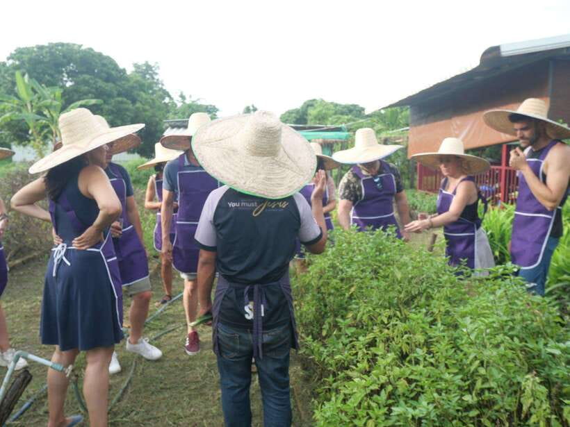 Chiang Mai: Half Day Cooking Class at Organic Farm - Should You Book This Half-Day Thai Cooking Class?