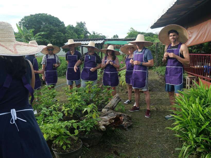 Chiang Mai: Half Day Cooking Class at Organic Farm - Three Garden Settings: City Organic Garden, City Yard Garden, or Farm Outside Town