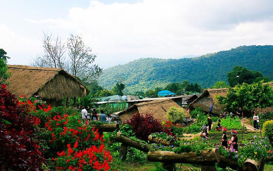Chiang Mai: Half day Doi Suthep and Meo Village - Price check: is $34 good value for this Chiang Mai day?