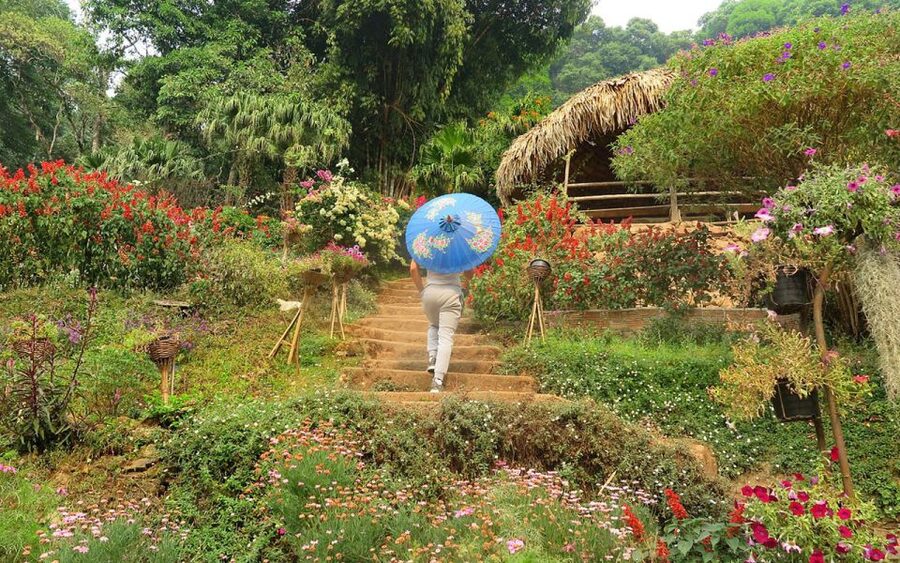 Chiang Mai: Half day Doi Suthep and Meo Village - Wat Phra That Doi Suthep: the temple complex and the view payoff