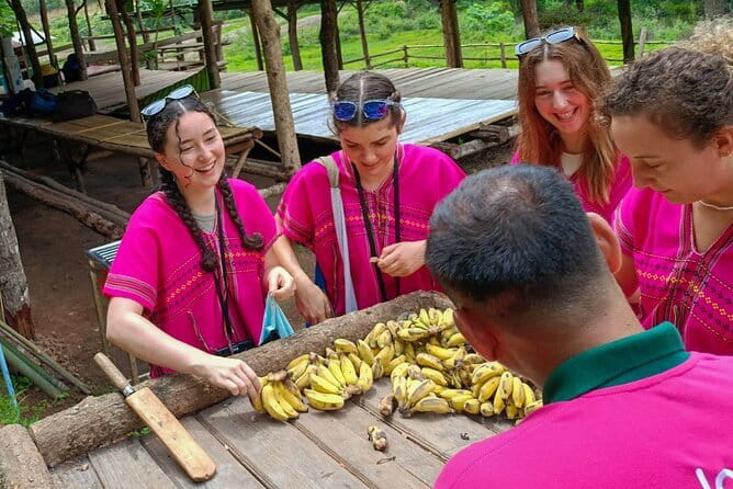Chiang Mai Half Day Elephant Sanctuary Observation and Waterfall - Hotel Pickup To Mountain Roads: How the Day Starts