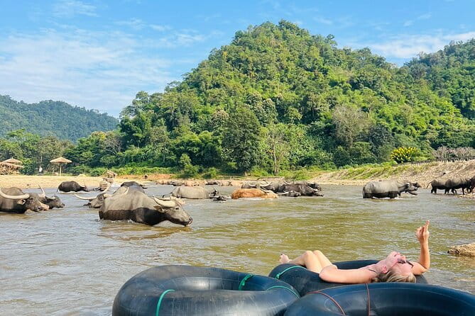 Chiang Mai Half-Day River Tubing & Elephant Observation - Mae Taeng River Tubing With a Waterfall Slide That Actually Changes the Day