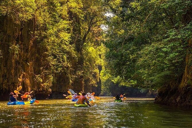 Chiang Mai Half-Day River Tubing & Elephant Observation - Price and Value: Why This Costs About $64.87 and Still Feels Fair