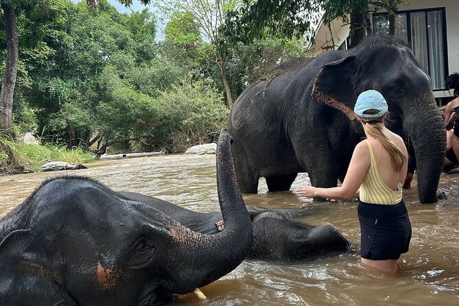 Chiang Mai Half Day Tour: Doi Inthanon Elephant Sanctuary - Key highlights worth your attention