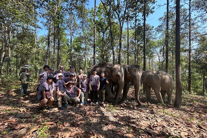Chiang Mai Half Day Tour: Doi Inthanon Elephant Sanctuary - Why Doi Inthanon feels like the right elephant stop for a half-day