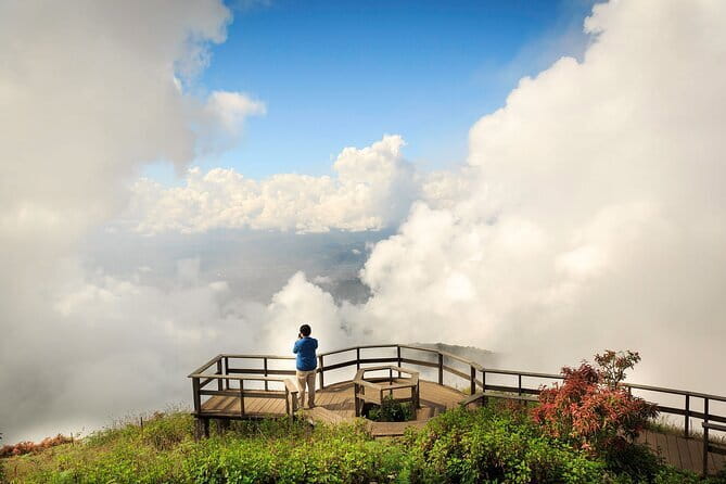 Chiang Mai Half Day Tour: Doi Inthanon Elephant Sanctuary - Ethical elephant encounters: how to judge this tour with your own eyes