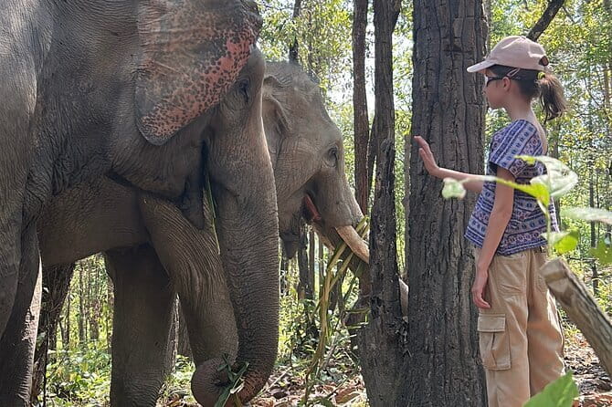 Chiang Mai Half Day Tour: Doi Inthanon Elephant Sanctuary - Hotel pickup and the real timing behind the 5 hours