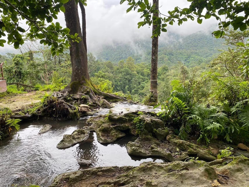 Chiang Mai Half Day Tour: Sticky Waterfall & Hotel Transfer - Transfer-only logistics: how the ride actually works