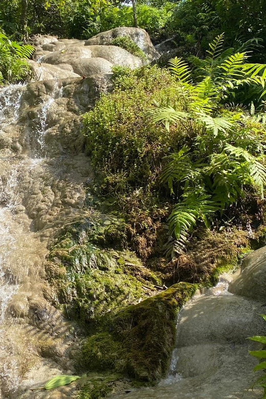 Chiang Mai Half Day Tour: Sticky Waterfall & Hotel Transfer - Who this fits best, and who should rethink it