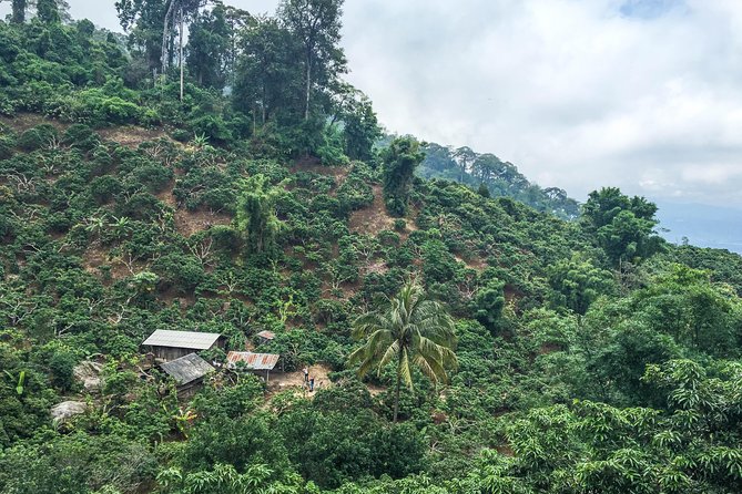 Chiang mai Hike & Downhill Bike Adventure –Suthep National Park - Khun Chang Khian: Rest, Village Food, and a Reset Before the Bike