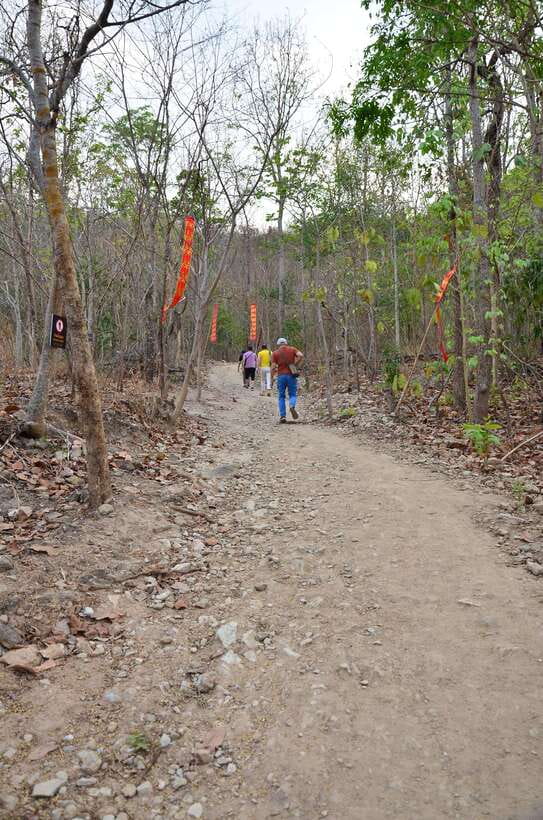 Chiang Mai: Hike on Monk’s Trail and Doi Suthep Private Tour - Who this tour fits best, and who should skip it