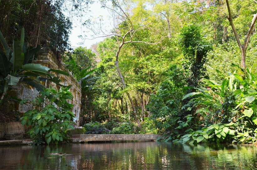Chiang Mai: Hike on Monk’s Trail and Doi Suthep Private Tour - What to bring so the day feels easy