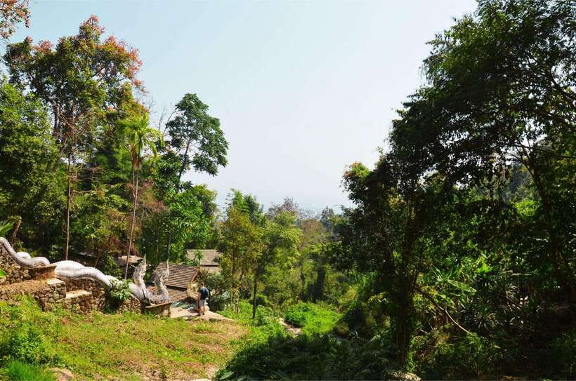 Chiang Mai: Hike on Monk’s Trail and Doi Suthep Private Tour - Language and the guide effect you’ll feel