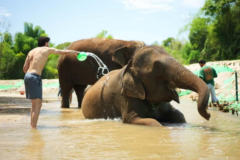 Chiang Mai: Jungle Jumbo Elephant Sanctuary with Waterfall - Key takeaways before you go