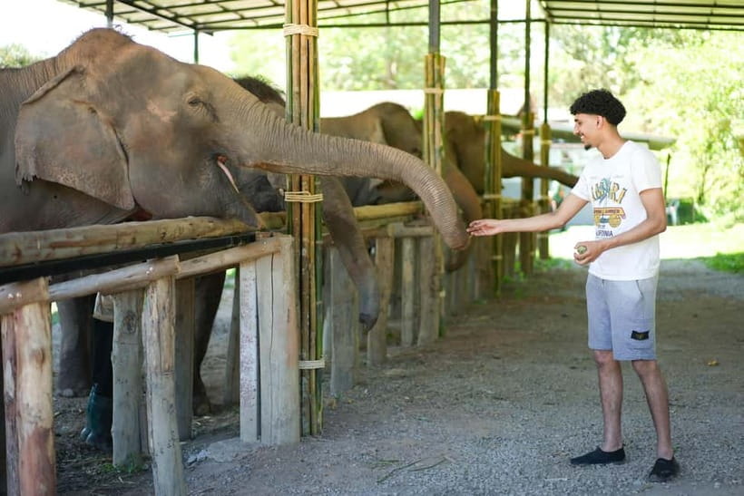Chiang Mai: Jungle Jumbo Elephant Sanctuary with Waterfall - Jungle Jumbo Elephant Sanctuary and Waterfall, what the day feels like