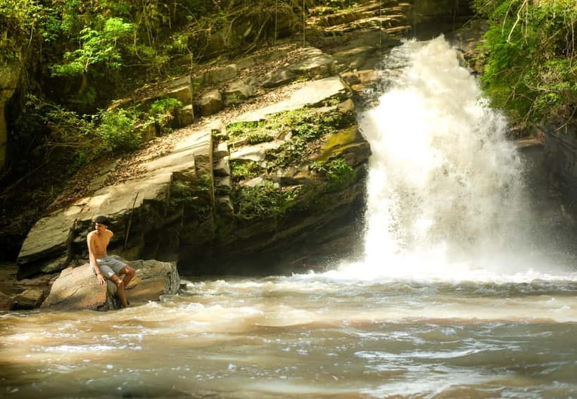 Chiang Mai: Jungle Jumbo Elephant Sanctuary with Waterfall - The jungle walk to the waterfall, and the reality of swim time