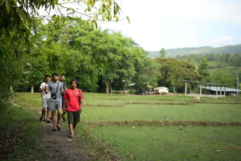 Chiang Mai: Jungle Jumbo Elephant Sanctuary with Waterfall - Guides matter: Dale, Tanan, and Fa as examples of the right vibe