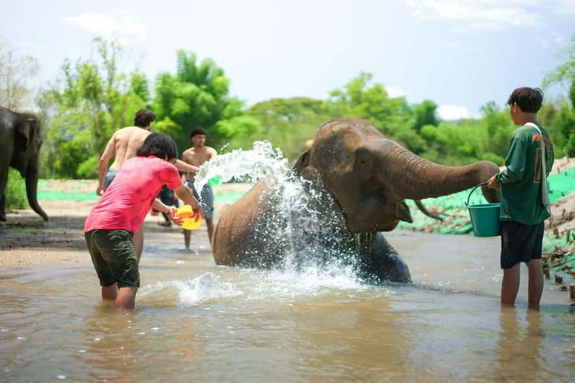 Chiang Mai: Jungle Jumbo Elephant Sanctuary with Waterfall - The short Thai village stop, more about people than souvenirs
