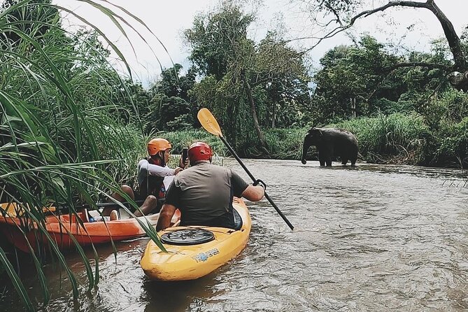 Chiang Mai: Jungle Kayak Adventure with Rapids & Elephants - Mae Wang Valley: why this Chiang Mai river run feels like a reset