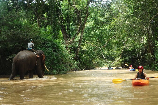 Chiang Mai: Jungle Kayak Adventure with Rapids & Elephants - Upper Mae Wang: Class I and II rapids plus elephants at the water’s edge