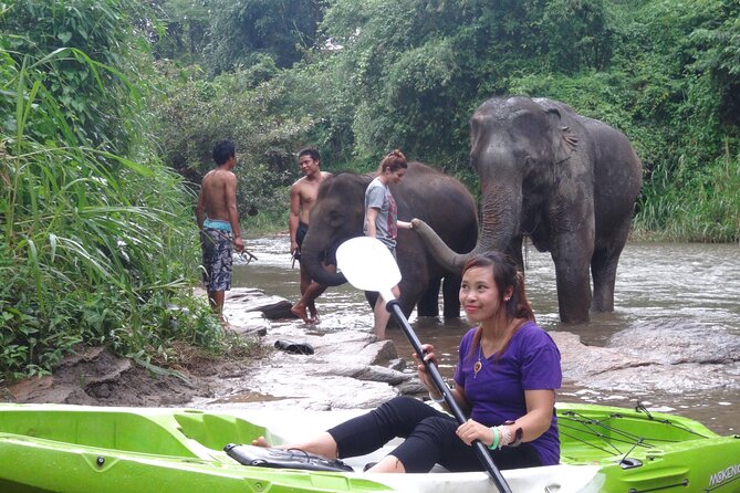 Chiang Mai: Jungle Kayak Adventure with Rapids & Elephants - Riverside lunch, vegetarian and vegan choices, and the small-group pace
