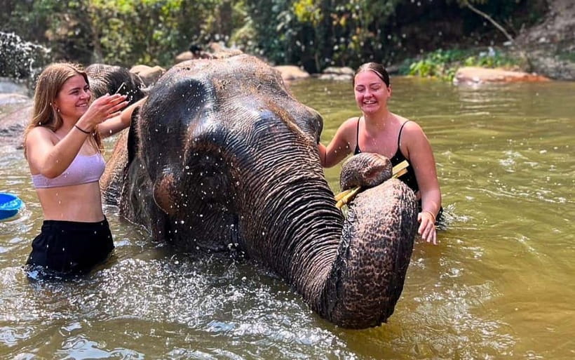 Chiang Mai: Jungle Trek, Elephants care & Bamboo Rafting - Bamboo Rafting on a Jungle River, Weather Pending
