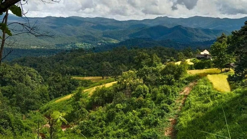 Chiang Mai: Jungle Trek, Elephants care & Bamboo Rafting - The Elephant Care Question: Confirm What You Are Really Buying