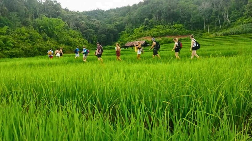 Chiang Mai: Jungle Trek, Elephants care & Bamboo Rafting - Timing, Group Pace, and Why Your Day Might Run a Bit Late
