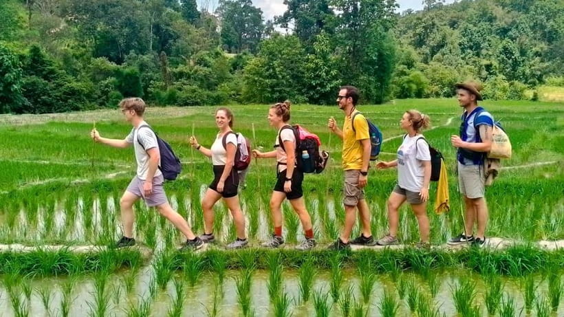 Chiang Mai: Jungle Trek, Elephants care & Bamboo Rafting - Market Stop and the Lunch You Actually Eat