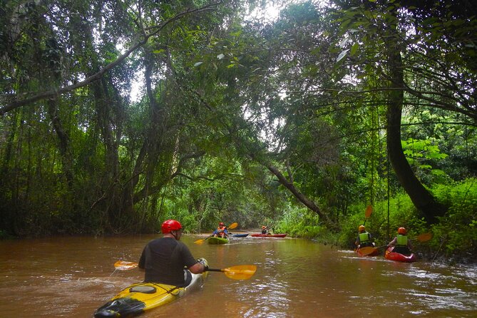 Chiang Mai : Kayak the Jungle Rivers of Chiang Dao Valley! - The Ping River and Chiang Dao Valley Sections: What the Paddling Feels Like