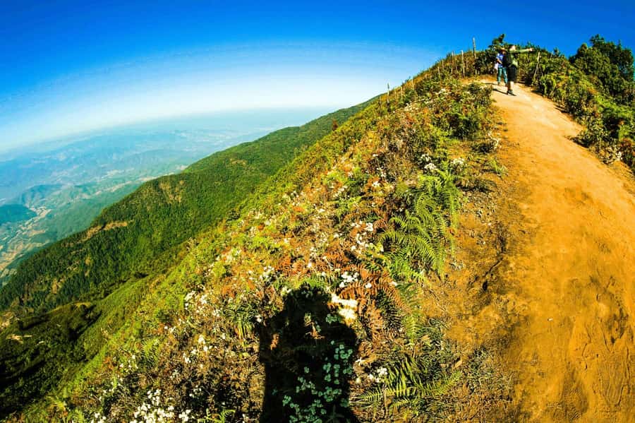 Chiang Mai: Kew Mae Pan Nature Trail & Doi Inthanon Day Trip - FAQ