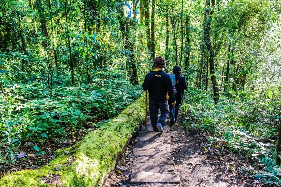 Chiang Mai: Kew Mae Pan Nature Trail & Doi Inthanon Day Trip - Logistics that affect comfort: what to bring and how to dress