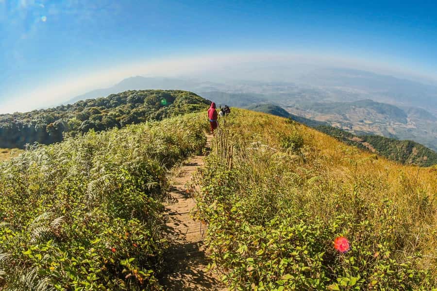 Chiang Mai: Kew Mae Pan Nature Trail & Doi Inthanon Day Trip - Kew Mae Pan Nature Trail: the best part for walkers