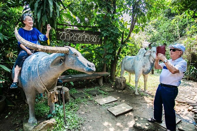 Chiang Mai Mae Ping River Cruise and Thai Farmer House Visit - Price and value: why $20.77 can work