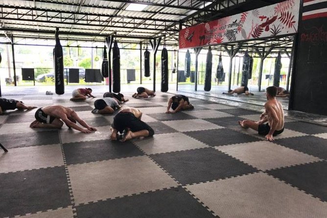Chiang Mai Muay Thai Boxing Experience - Chiang Mai Muay Thai, But Set Up for Real Beginners