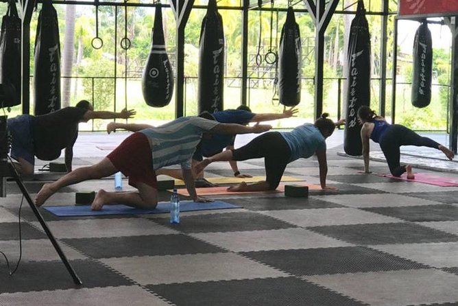 Chiang Mai Muay Thai Boxing Experience - Price and Value: Is $83.08 Worth a Half Day of Sweat?