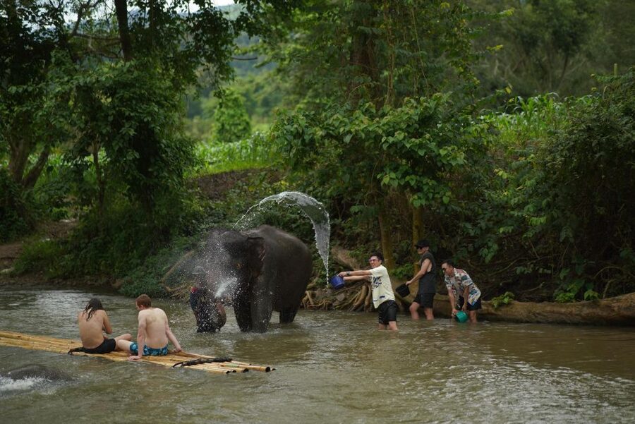 Chiang Mai: National Elephant Care, Rafting, & Ziplines Trip - Getting to Mae Wang: Chiang Mai pickup, then straight into elephant country