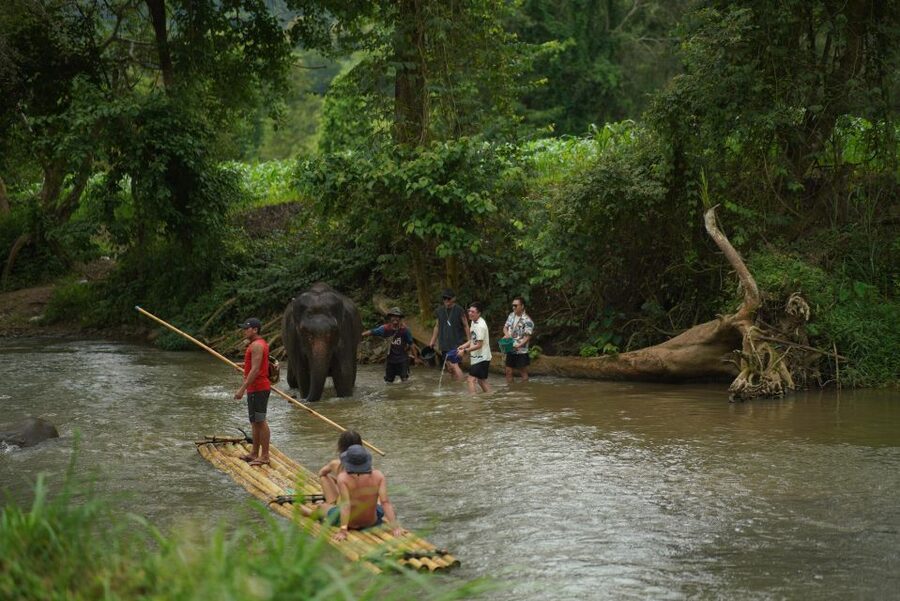 Chiang Mai: National Elephant Care, Rafting, & Ziplines Trip - Who this trip suits best