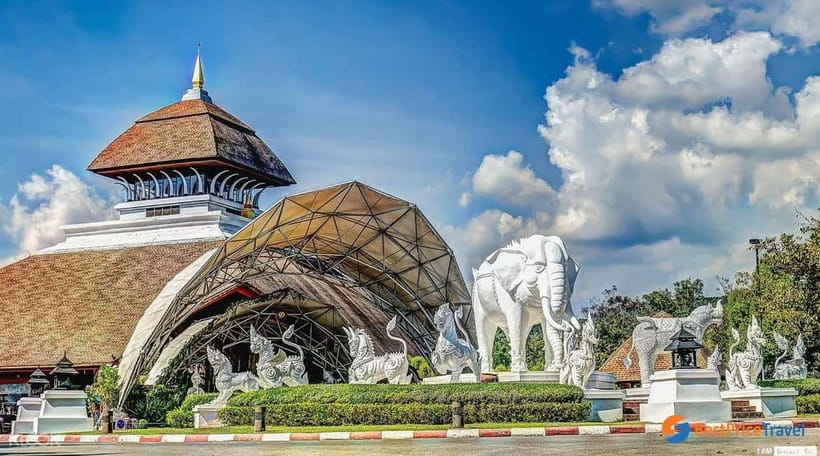 Chiang Mai Night Safari: Entry Ticket with Tram Ride - Key points worth knowing before you go