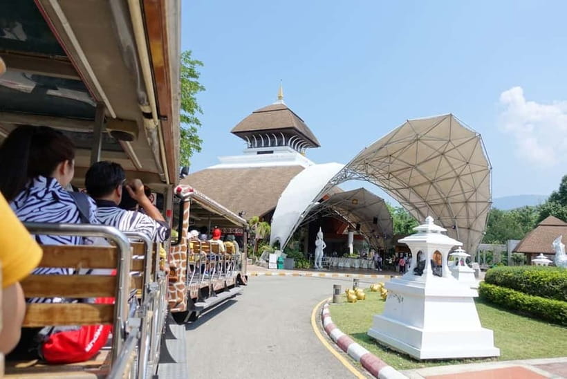 Chiang Mai Night Safari: Entry Ticket with Tram Ride - Chiang Mai Night Safari in plain terms, and what the tram changes