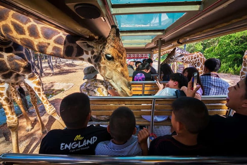 Chiang Mai Night Safari: Entry Ticket with Tram Ride - Jaguar Trail Zone: your slow start before the tram
