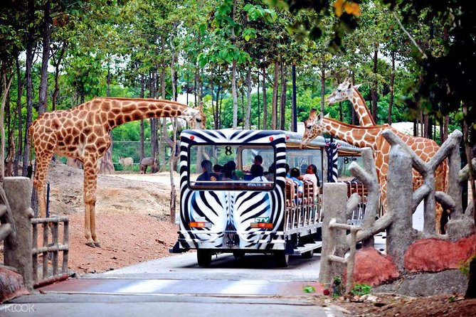 Chiang Mai Night Safari Tour including Transfer (Minimum 2 pax) - Hotel transfer to the gate, and why it matters at night