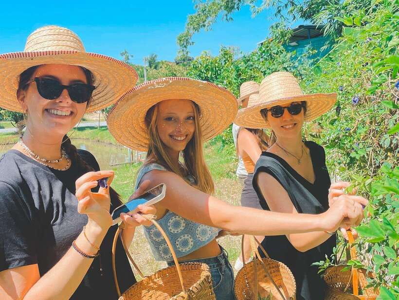 Chiang Mai Organic Thai Cooking Experience - Key highlights worth showing up for