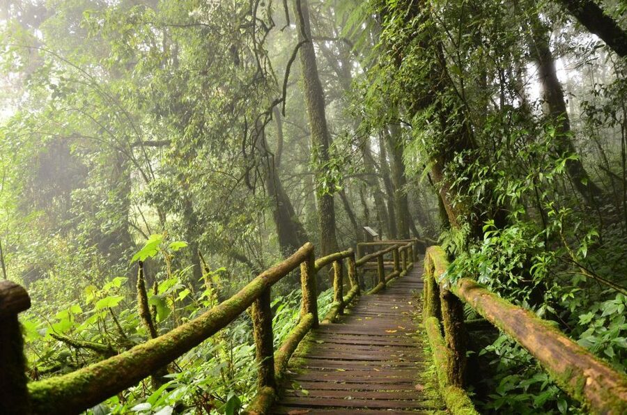 Chiang Mai: Pha Dok Siew Nature Trail & Doi Inthanon Trip - Key things to know before you go