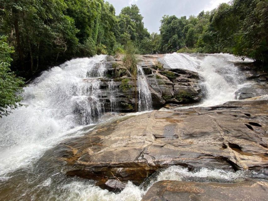 Chiang Mai: Pha Dok Siew Nature Trail & Doi Inthanon Trip - Pha Dok Siew Nature Trail: waterfalls, Dok Siew flowers, and forest survival talk