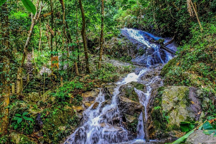 Chiang Mai: Pha Dok Siew Nature Trail & Doi Inthanon Trip - Doi Inthanon at 2,565 meters: cool air and real viewpoint time