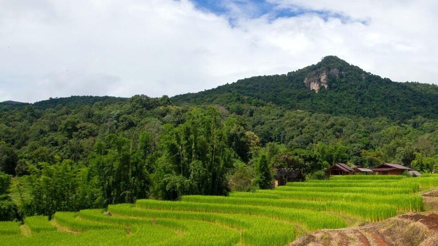 Chiang Mai: Pha Dok Siew Nature Trail & Doi Inthanon Trip - Hmong Tribal Market: souvenirs, coffee, and local produce to browse