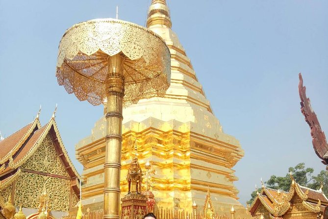 Chiang Mai Private Tour with Tea Plantation, Karen Village, Doi Suthep - Why this Chiang Mai private tour feels like more than a checklist